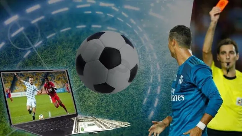 Điều khoản sử dụng